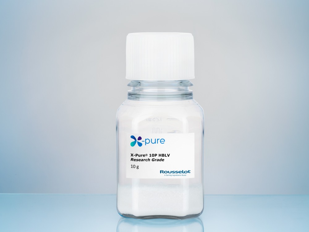 X-Pure 10P HBLV | BIO INX